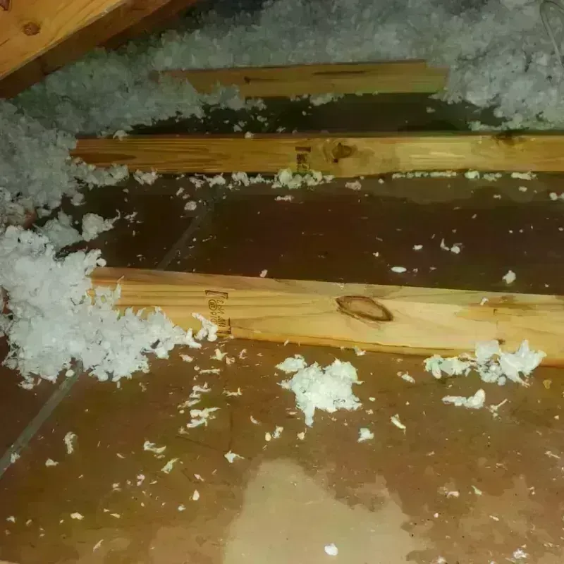 Attic Water Damage in Pike Creek Valley, DE